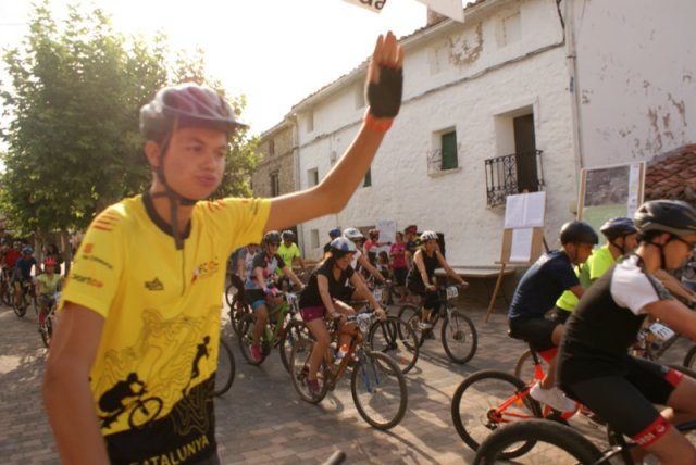 btt2019-0070