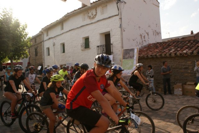btt2019-0073
