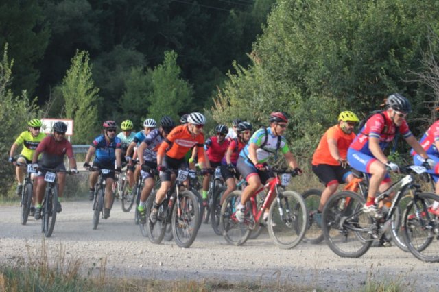 btt2019-0117