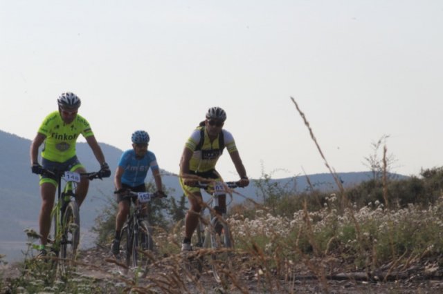 btt2019-0130