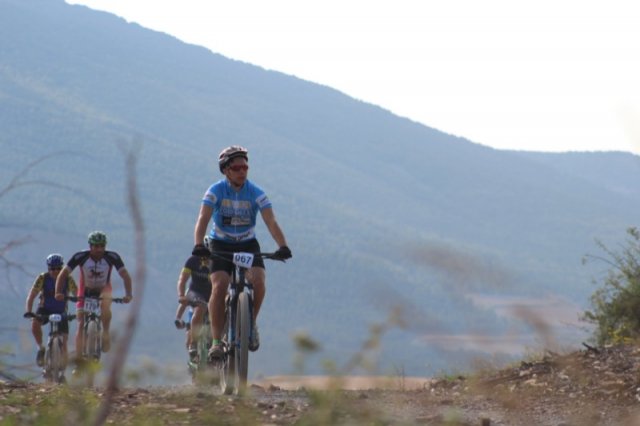 btt2019-0137