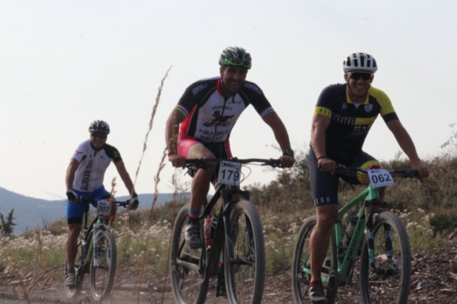 btt2019-0139