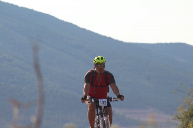 btt2019-0184