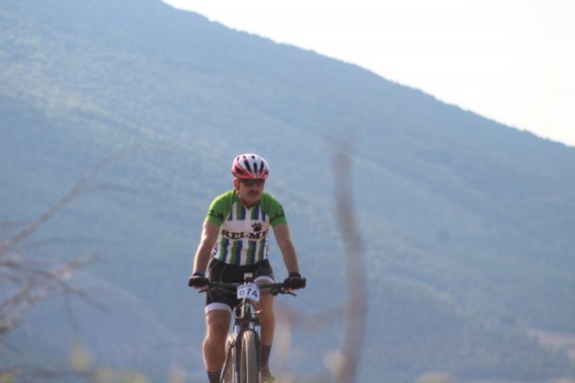 btt2019-0186