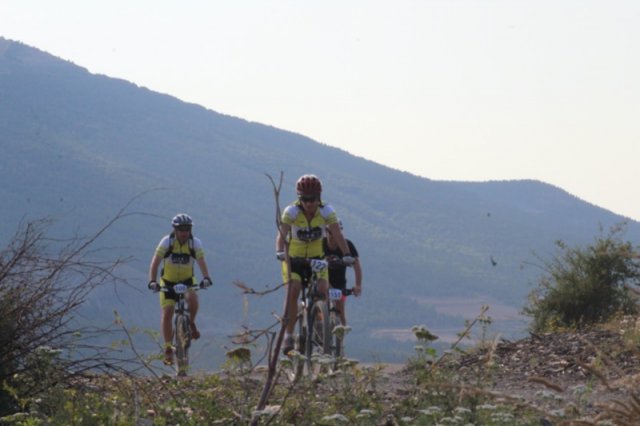 btt2019-0193