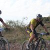 btt2019-0141