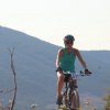 btt2019-0183