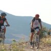btt2019-0190