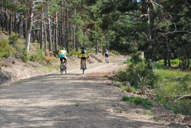 btt2019-0345