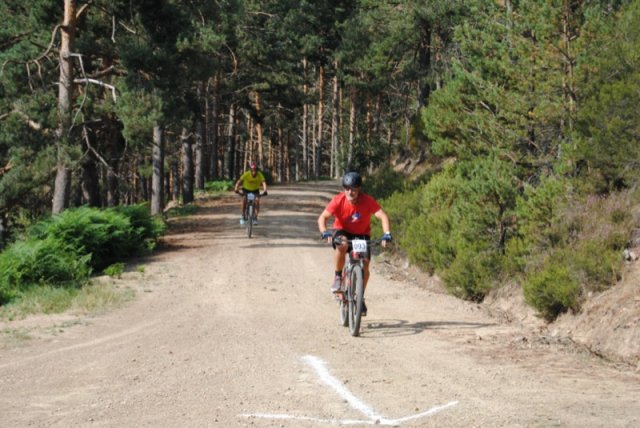 btt2019-0348
