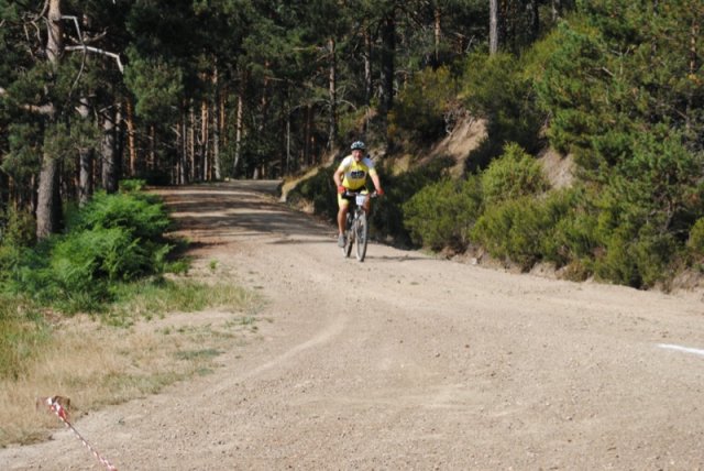btt2019-0351