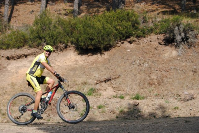 btt2019-0357