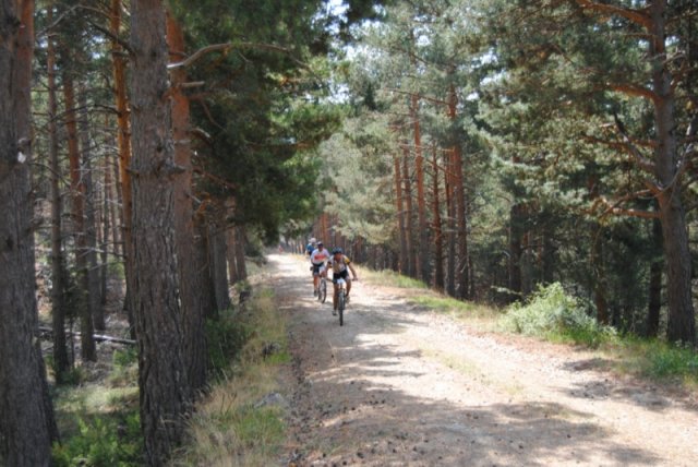 btt2019-0366