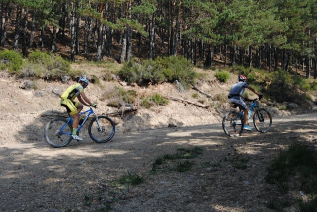 btt2019-0374