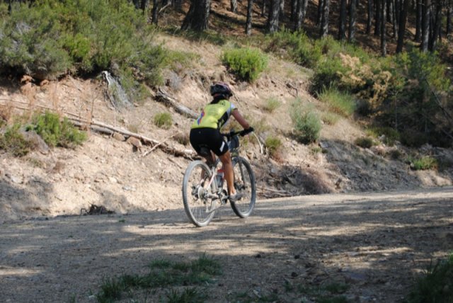 btt2019-0381