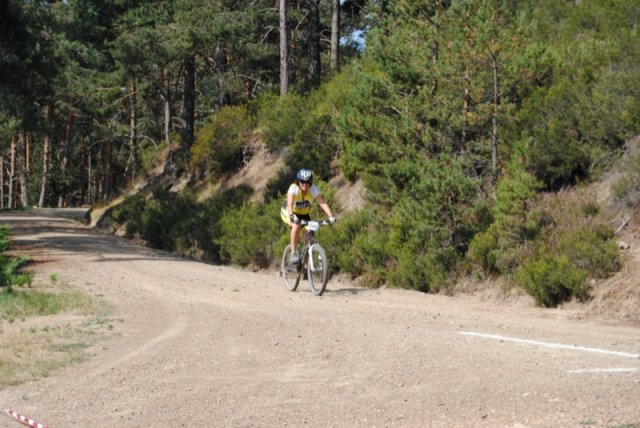 btt2019-0385