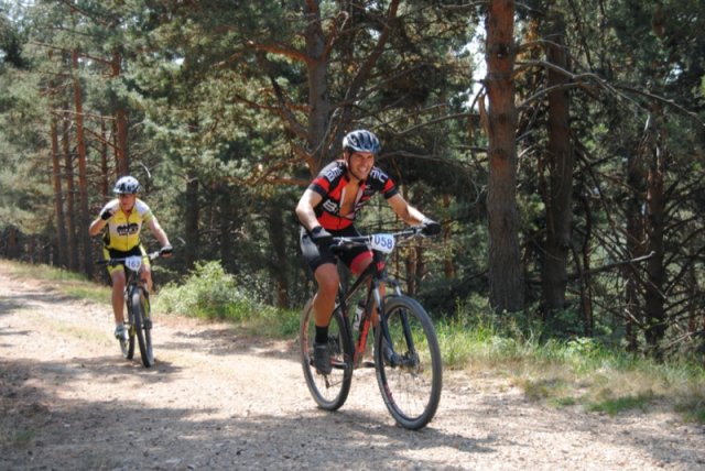 btt2019-0391
