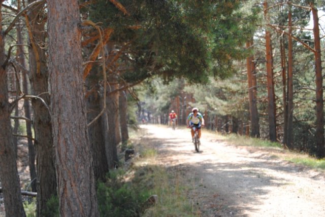 btt2019-0400