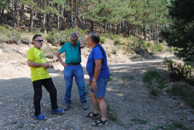 btt2019-0414