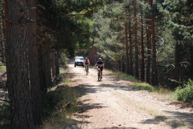 btt2019-0415