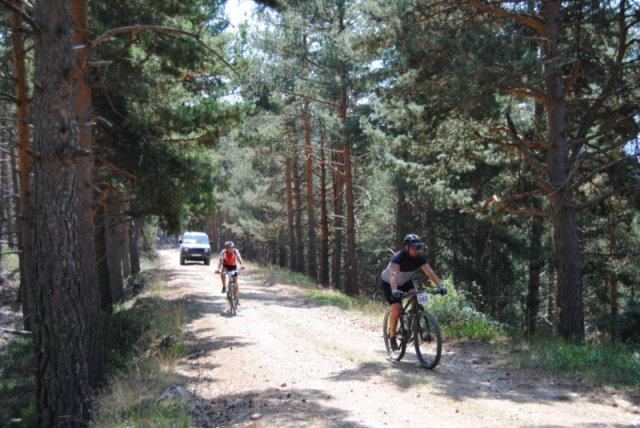 btt2019-0416