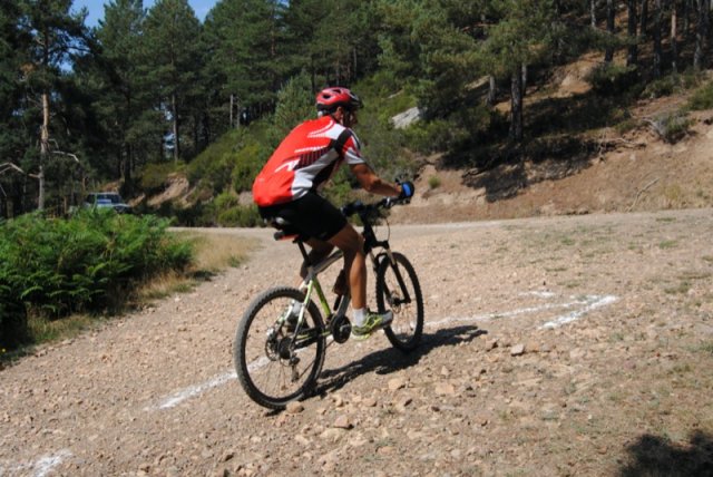 btt2019-0417