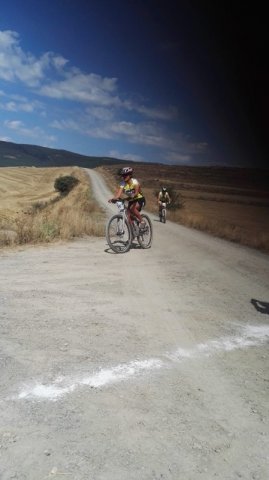 btt2019-0429
