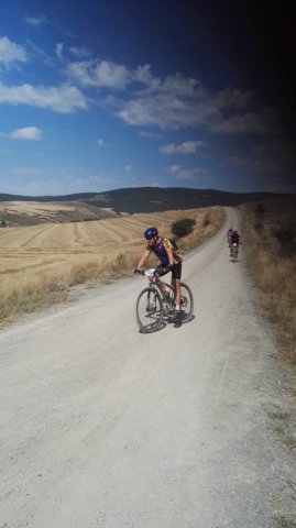 btt2019-0433