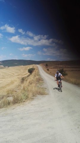 btt2019-0435