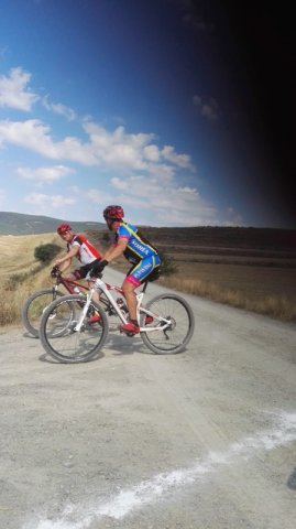 btt2019-0443