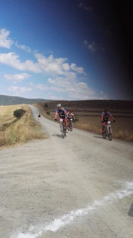 btt2019-0446