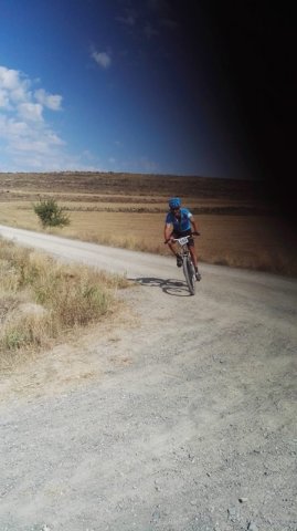 btt2019-0450