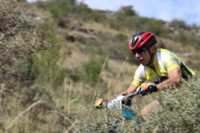 btt2019-0475