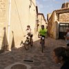 btt2019-0262