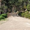 btt2019-0344