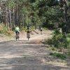 btt2019-0345