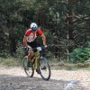 btt2019-0346
