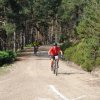btt2019-0347