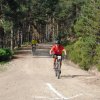btt2019-0348