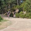 btt2019-0349