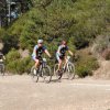 btt2019-0350