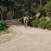 btt2019-0351