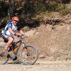 btt2019-0352