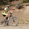 btt2019-0353