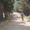 btt2019-0354