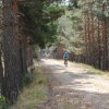 btt2019-0355