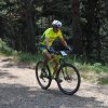 btt2019-0360