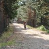 btt2019-0361