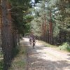 btt2019-0366