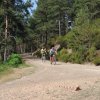 btt2019-0367